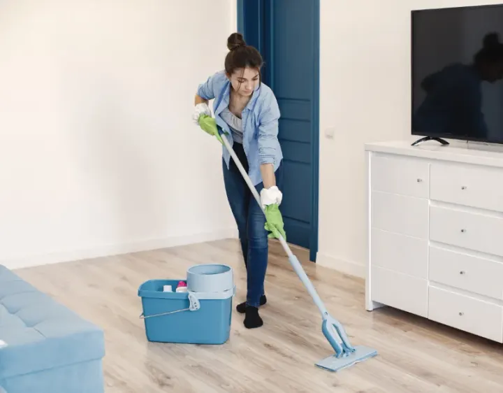 Femme de ménage Haulchin